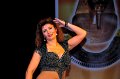 Galashow2010   127